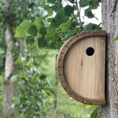 Norwegian Maple and Oak Bird Box